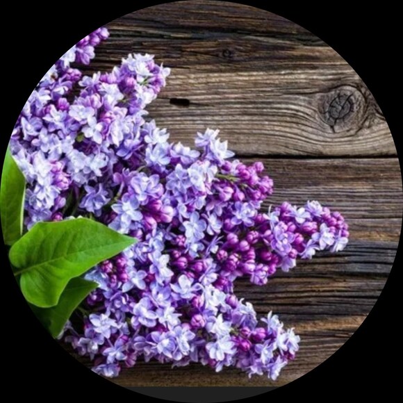thepurplelilac